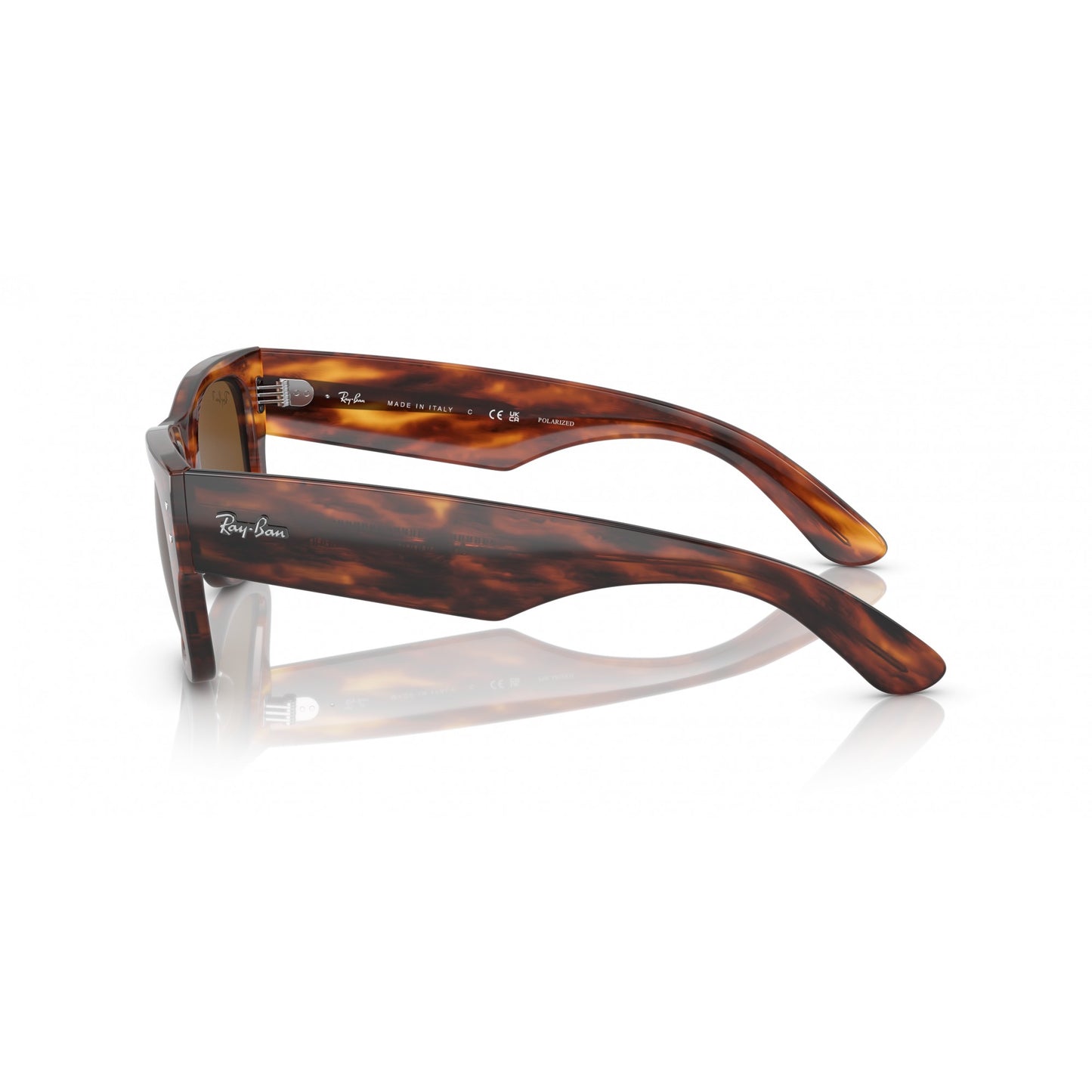 Ray-Ban 0RB0840S