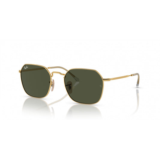Ray-Ban 0RB3694