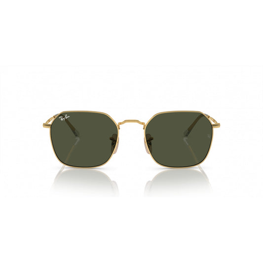 Ray-Ban 0RB3694