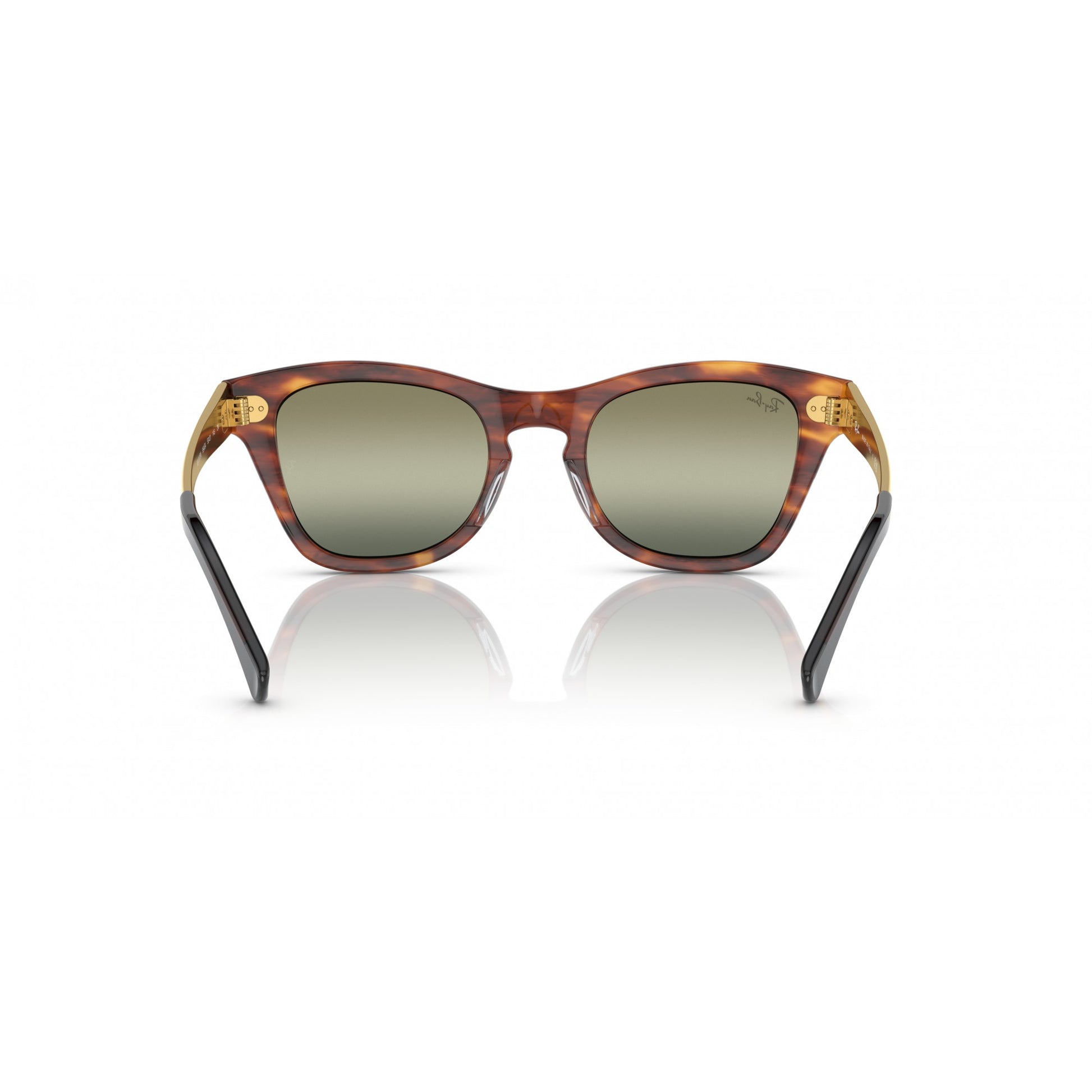 Ray-Ban 0RB0707SM