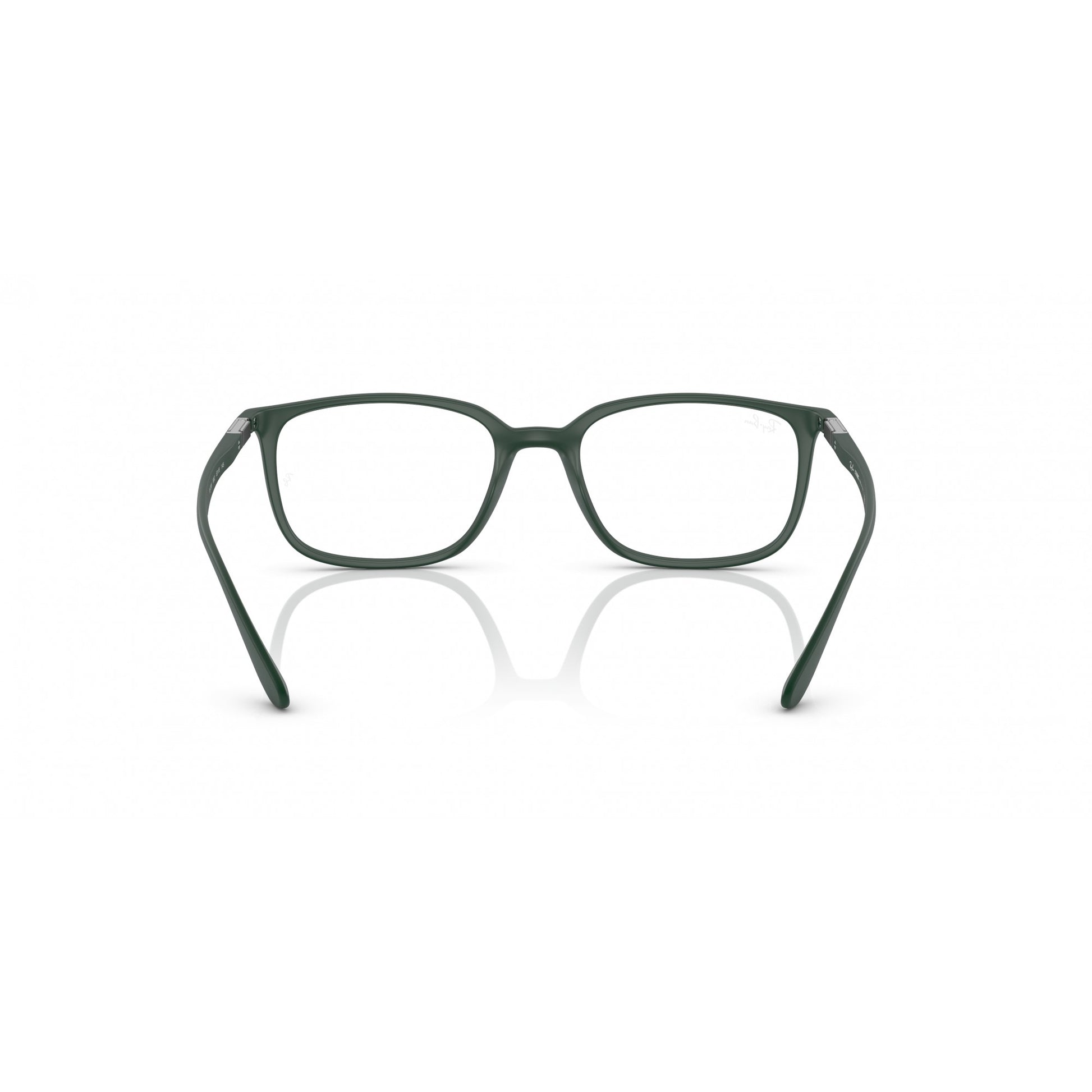 Ray-Ban 0RX7208