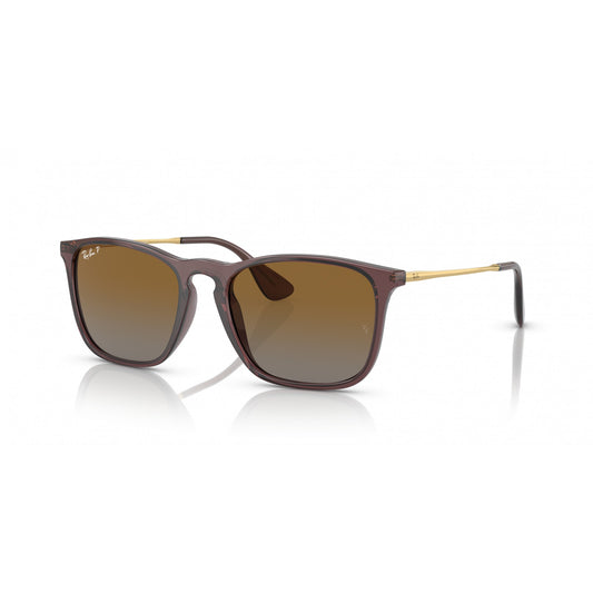 Ray-Ban 0RB4187