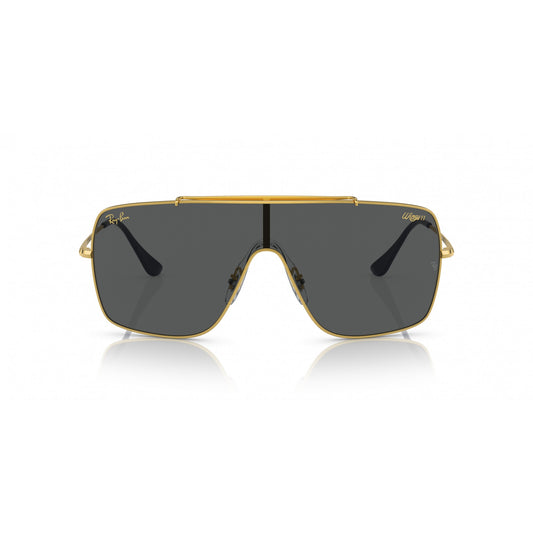 Ray-Ban 0RB3697