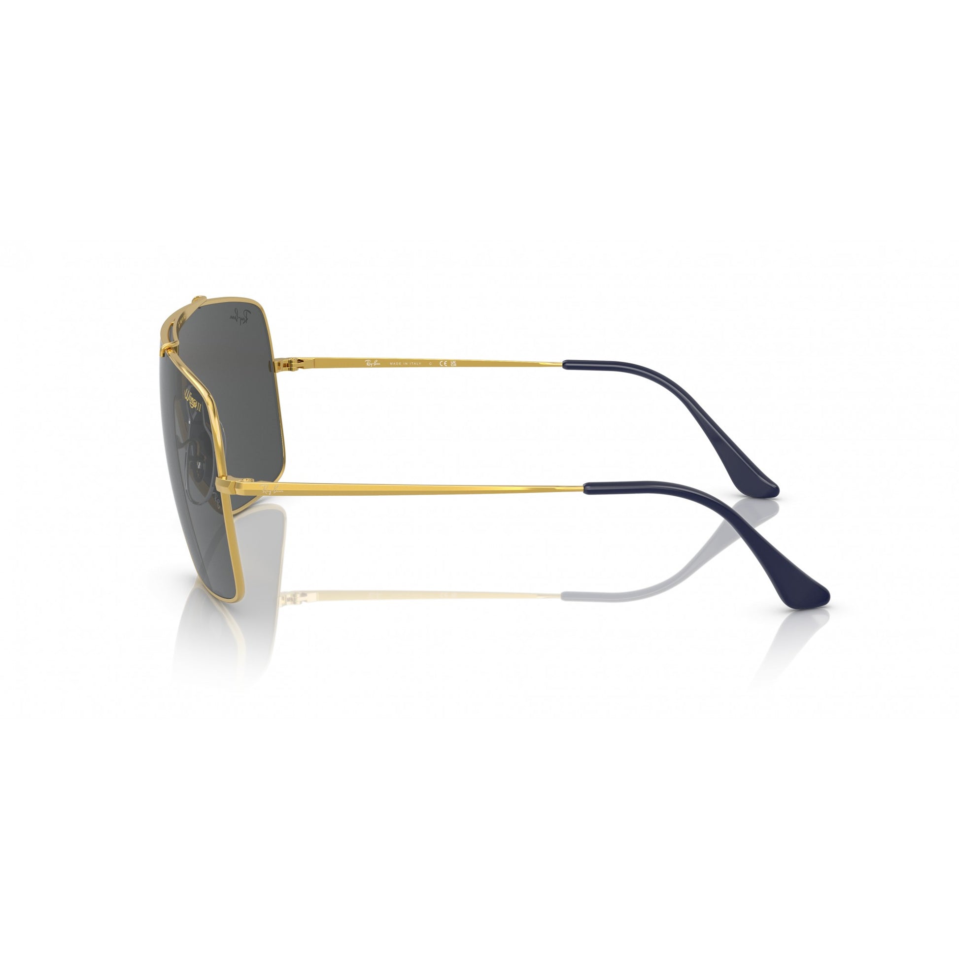 Ray-Ban 0RB3697