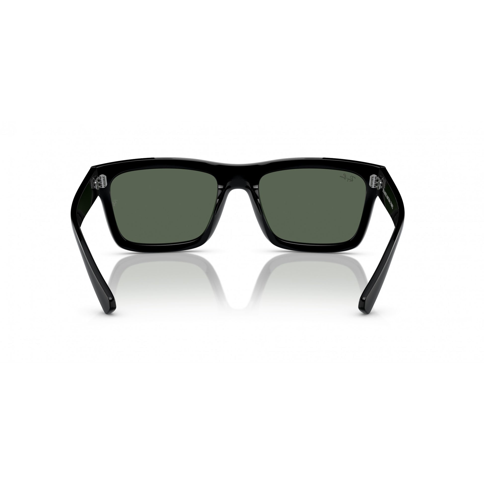 Ray-Ban 0RB4396