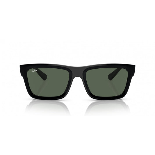Ray-Ban 0RB4396