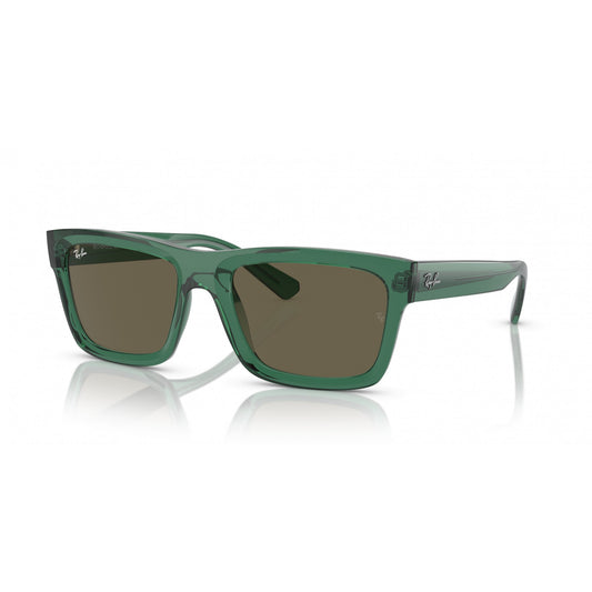 Ray-Ban 0RB4396