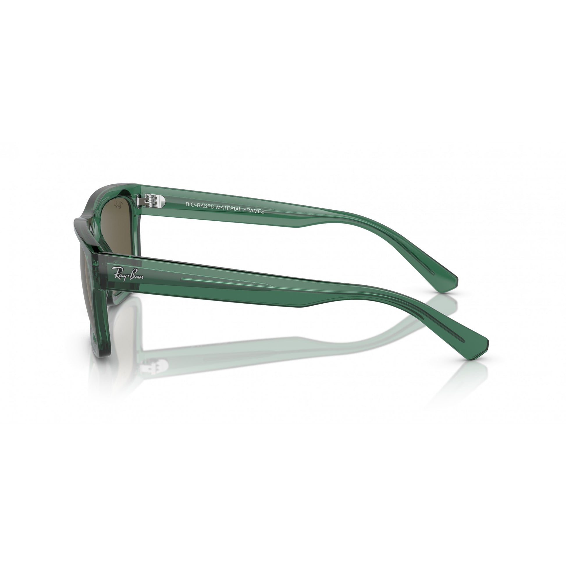 Ray-Ban 0RB4396
