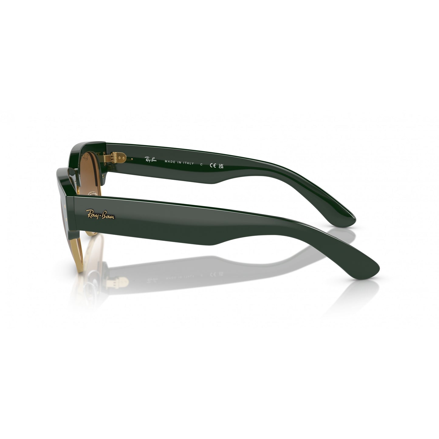 Ray-Ban 0RB0316S