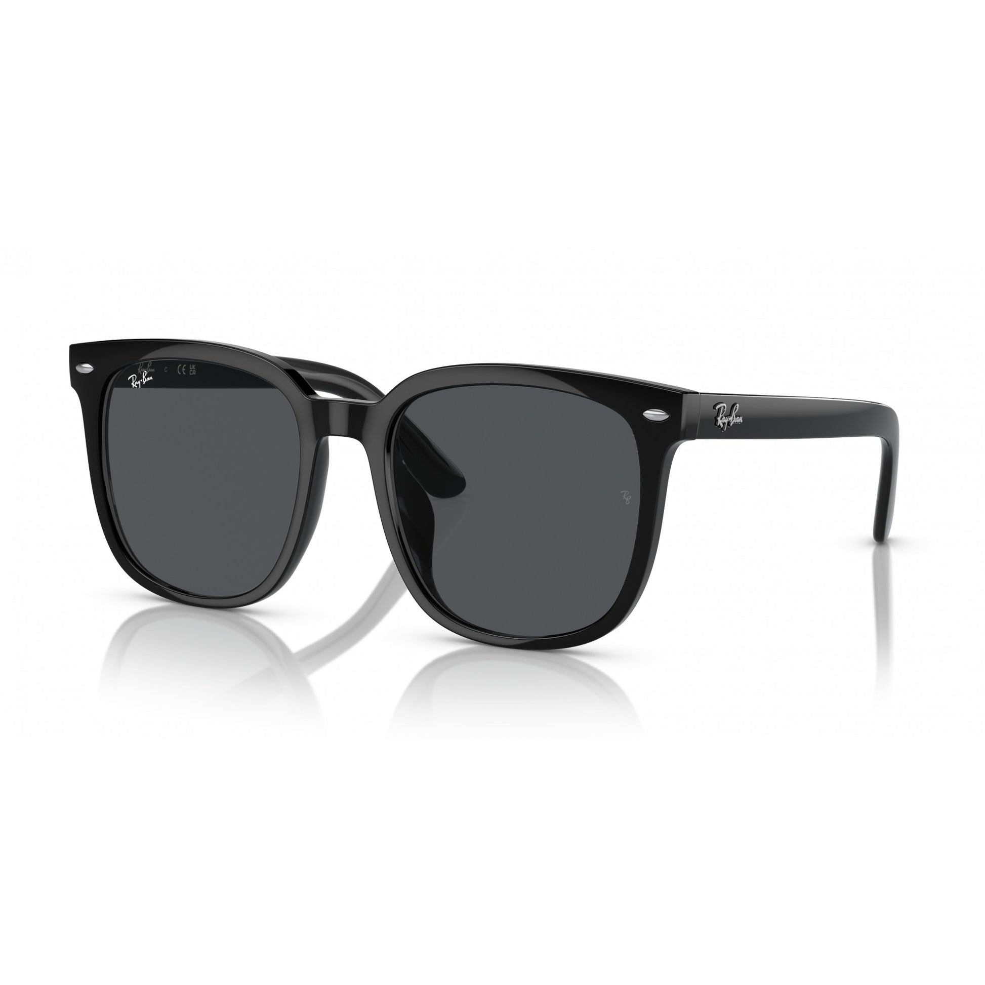 Ray-Ban 0RB4401D