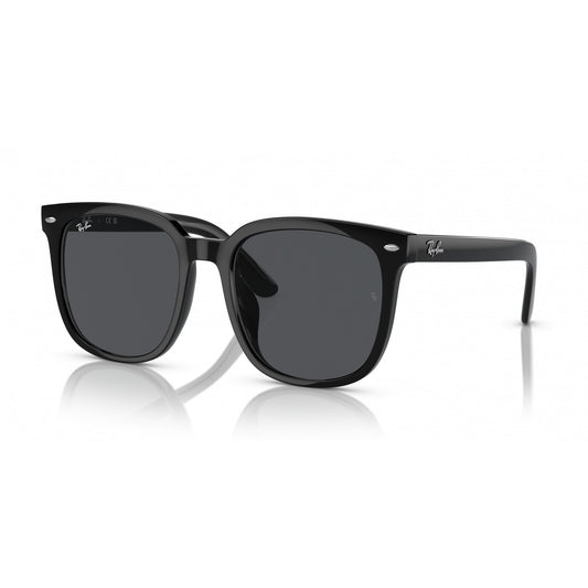 Ray-Ban 0RB4401D