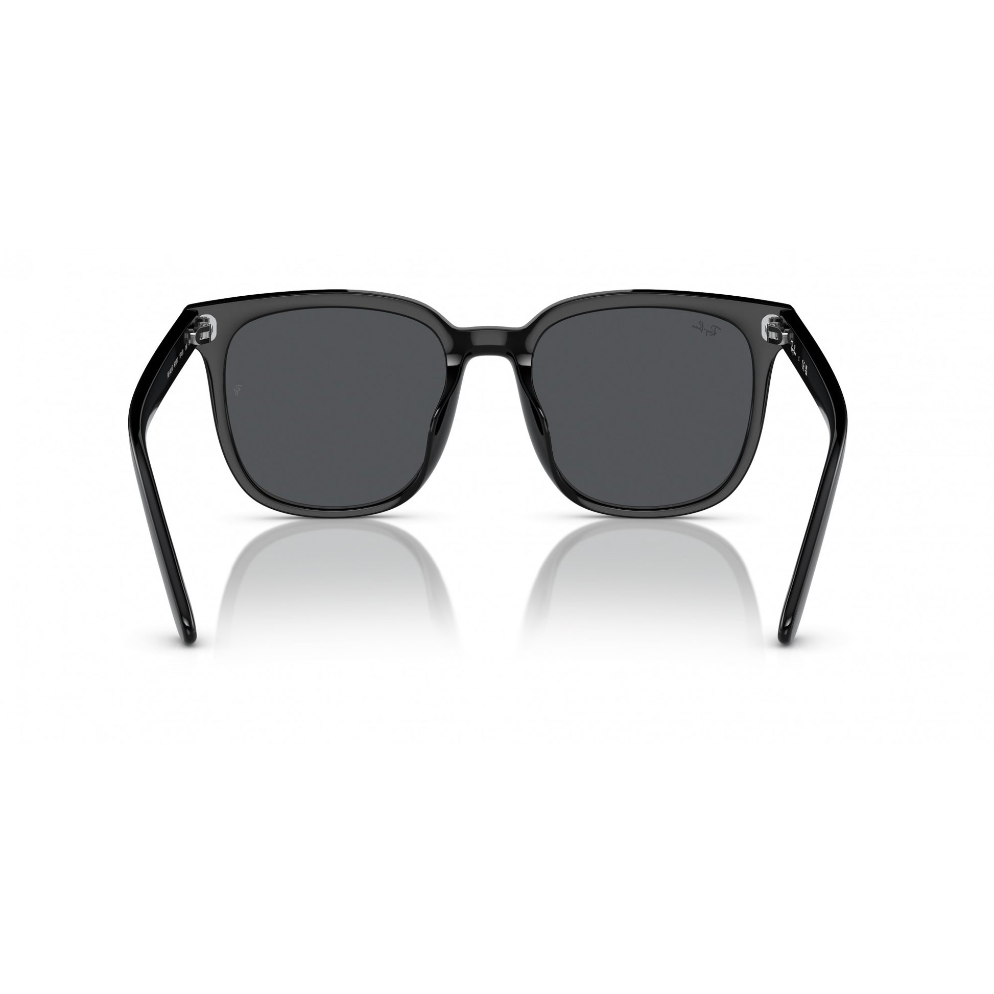 Ray-Ban 0RB4401D