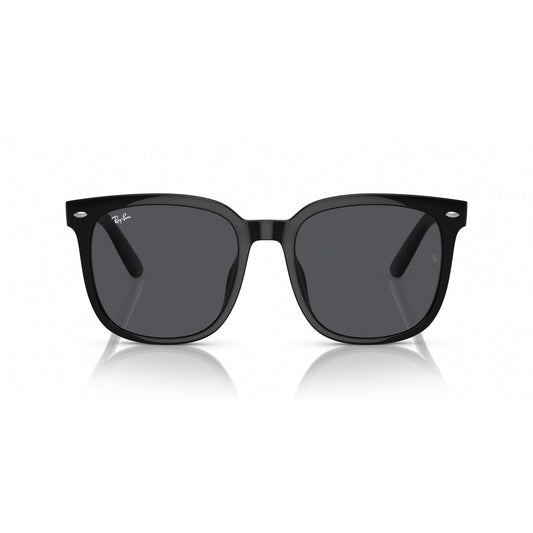 Ray-Ban 0RB4401D