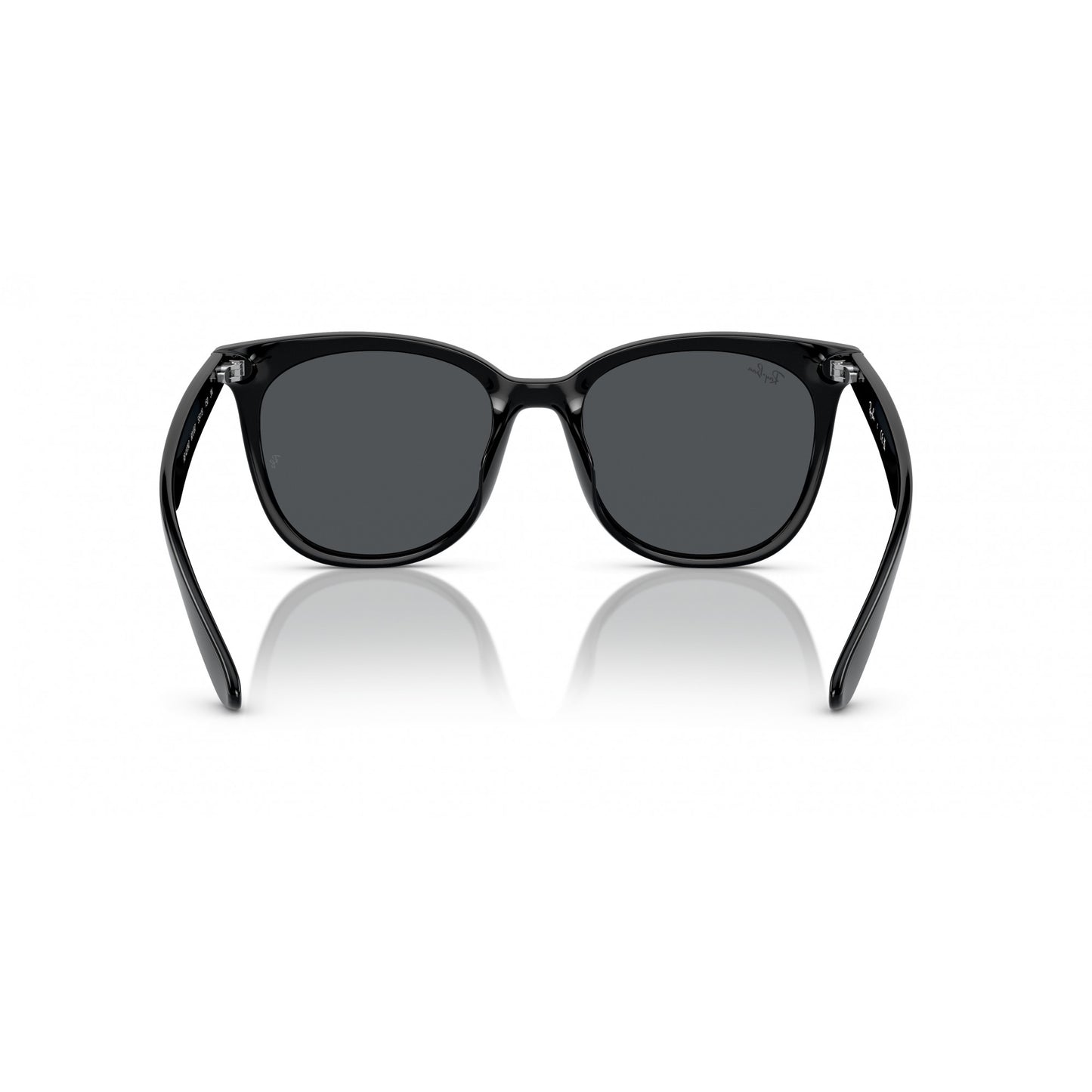 Ray-Ban 0RB4379D