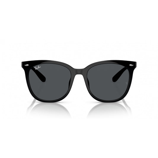 Ray-Ban 0RB4379D