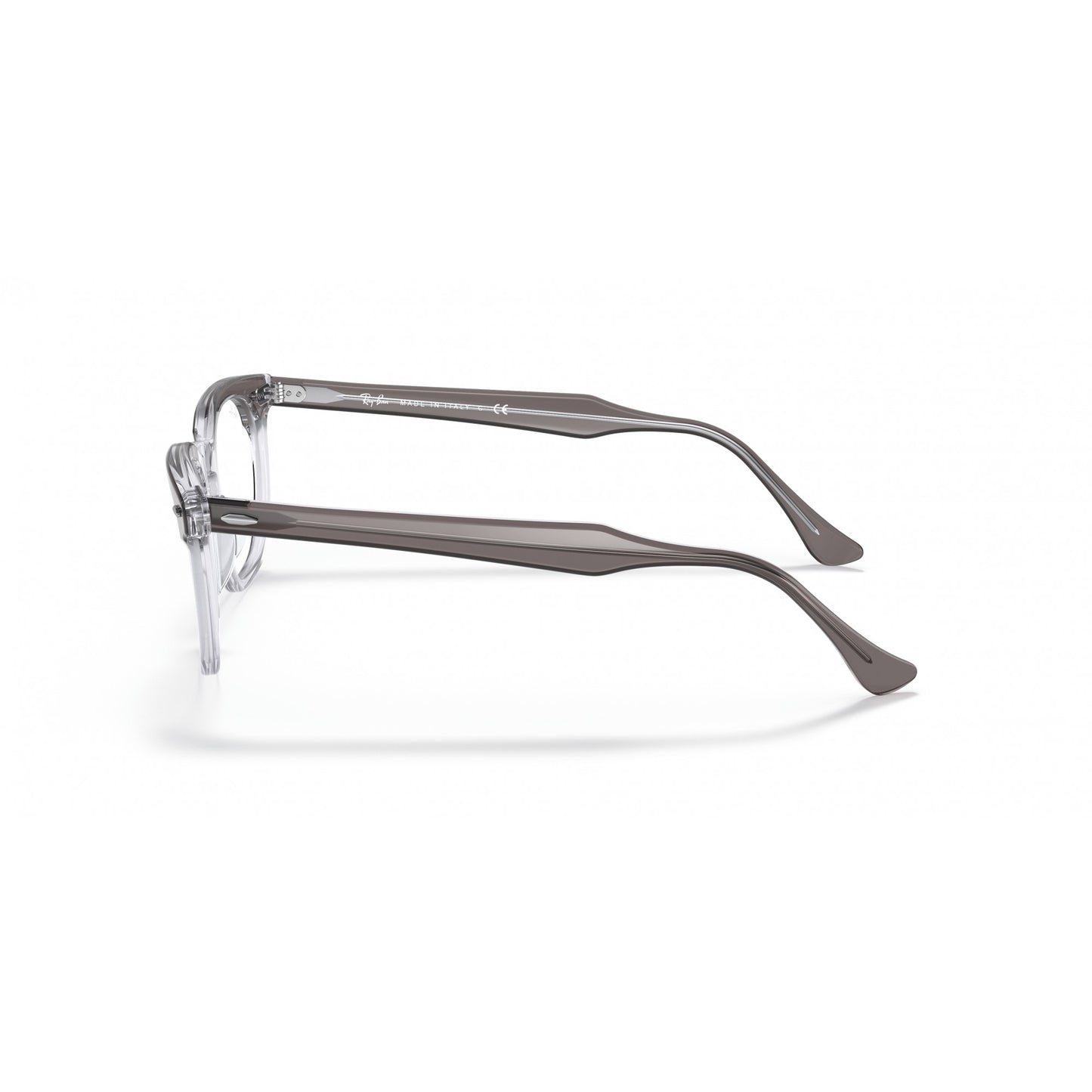 Ray-Ban 0RX5398