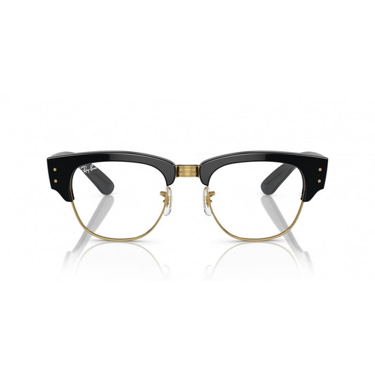 Ray-Ban 0RB0316S