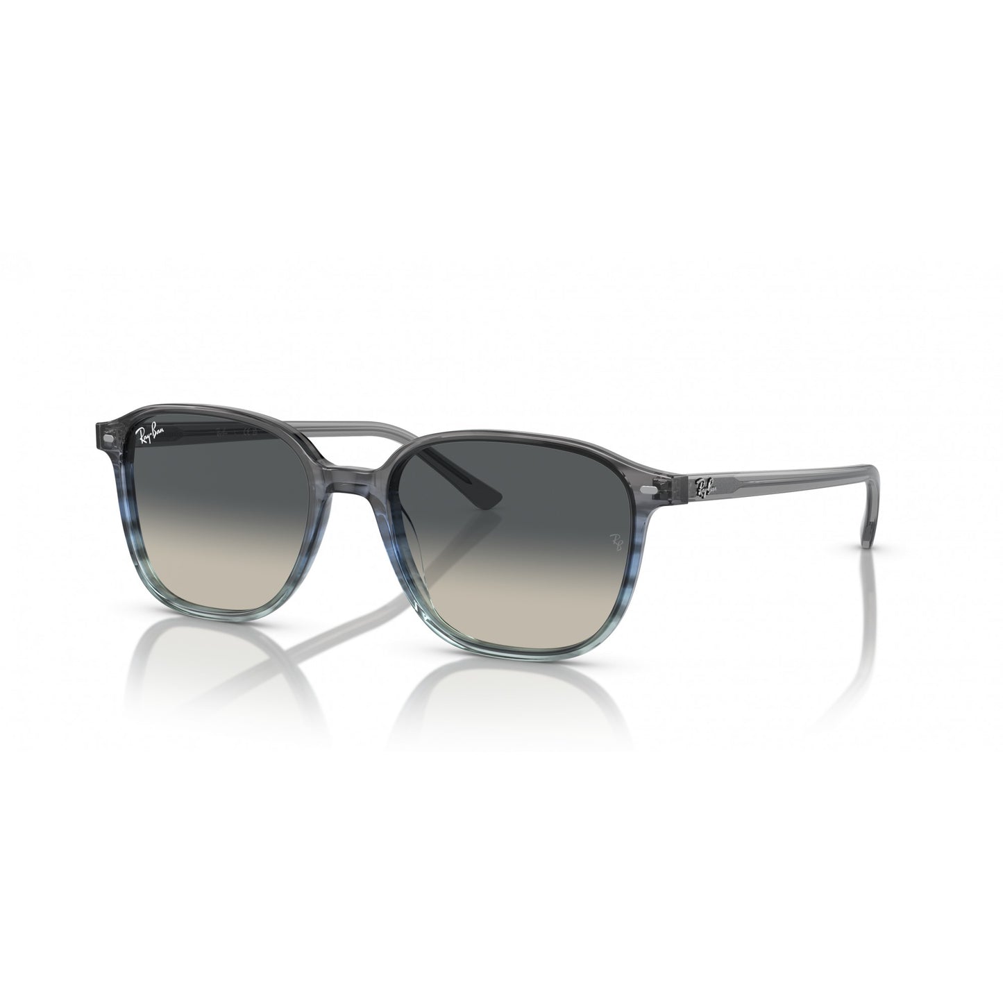 Ray-Ban 0RB2193