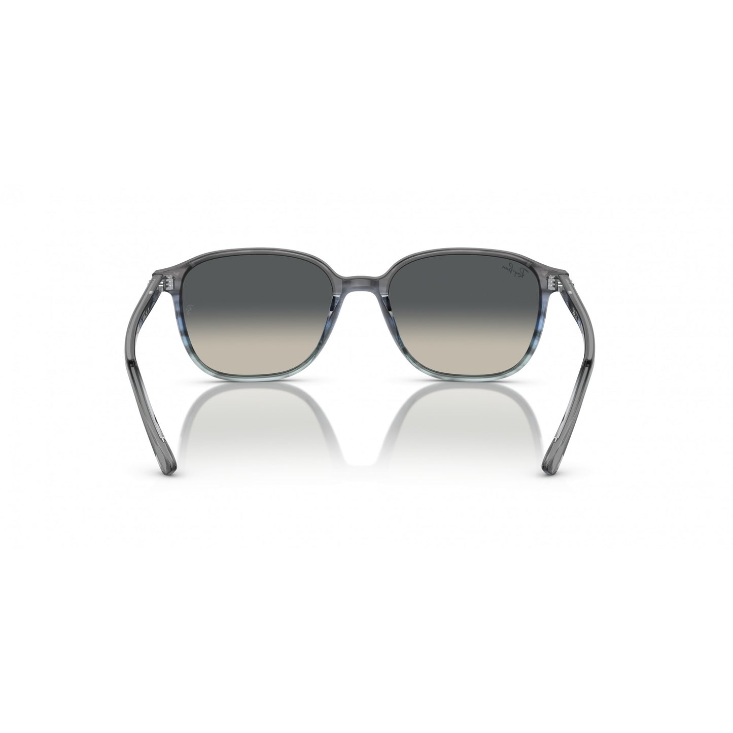 Ray-Ban 0RB2193