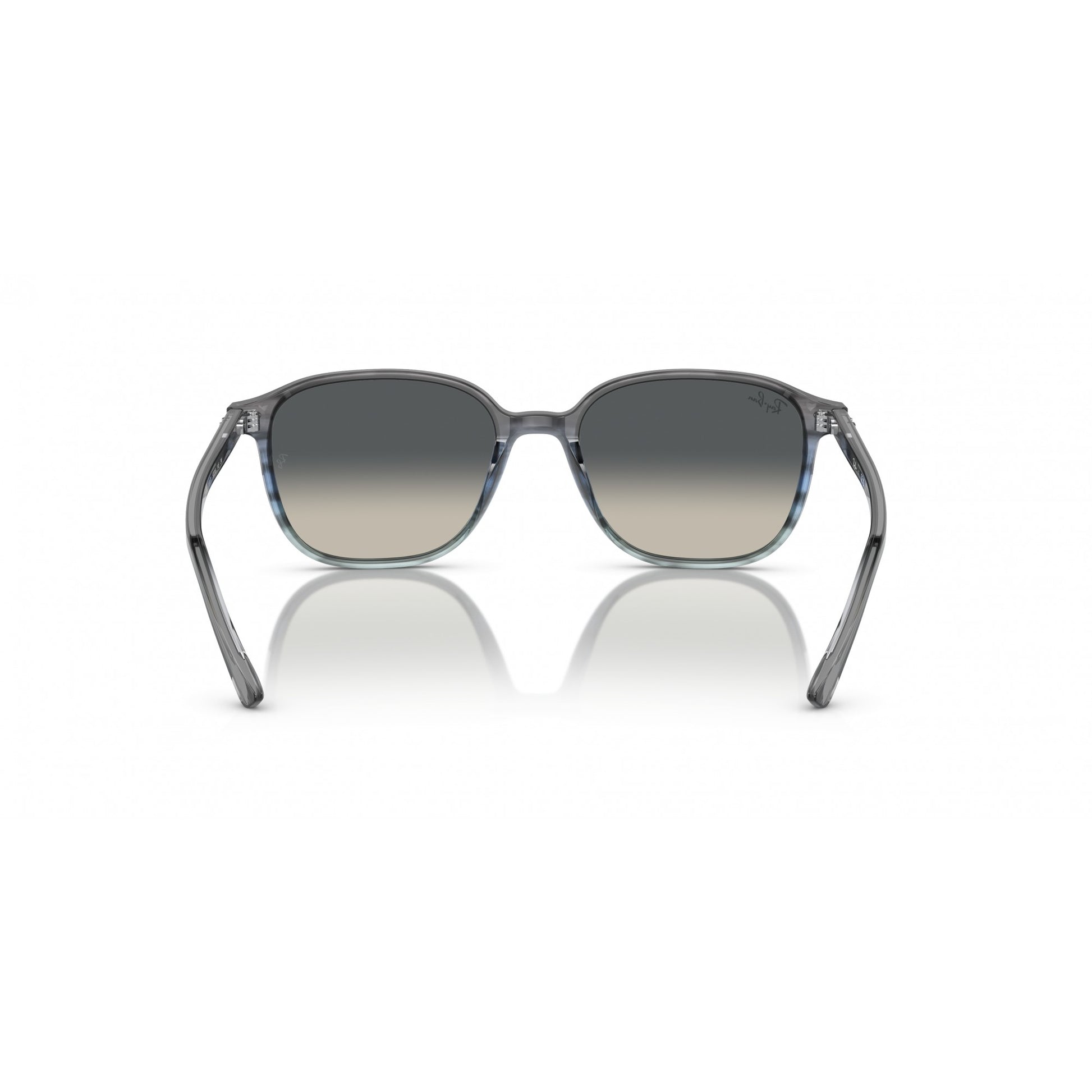 Ray-Ban 0RB2193