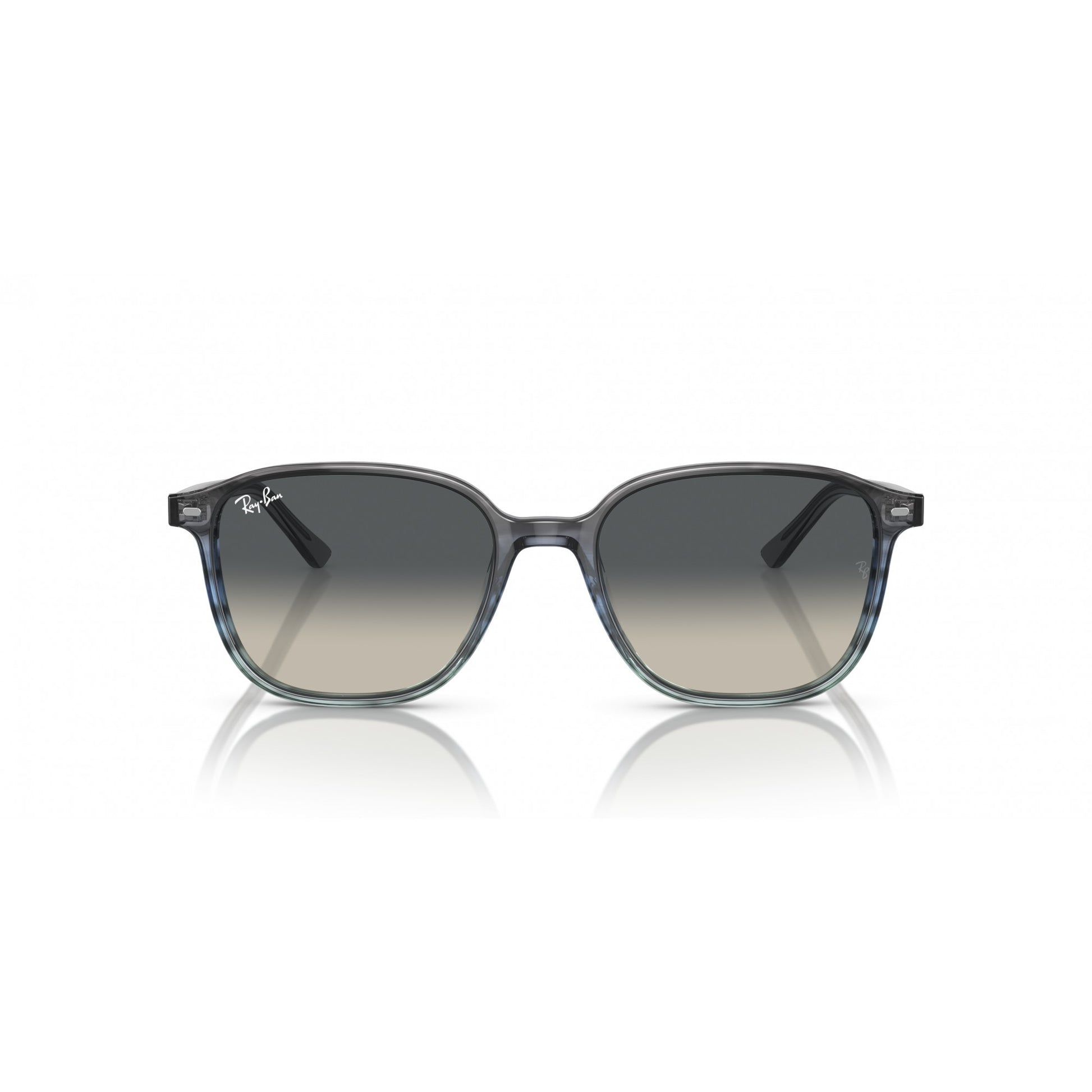 Ray-Ban 0RB2193