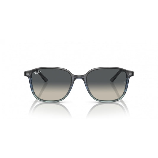 Ray-Ban 0RB2193