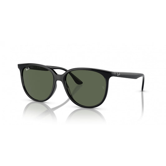 Ray-Ban 0RB4378