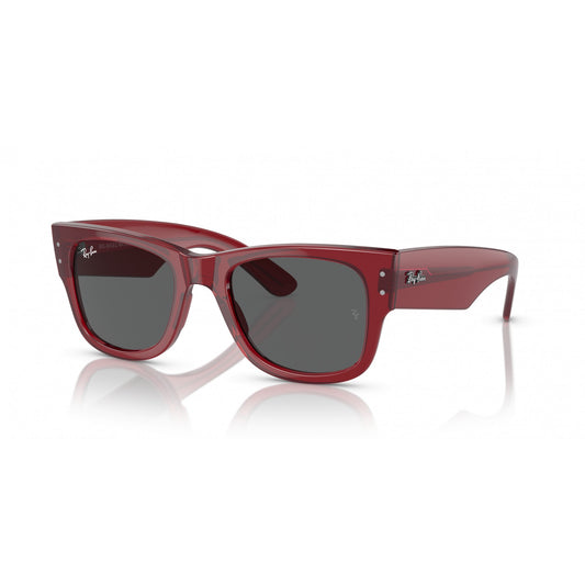 Ray-Ban 0RB0840S