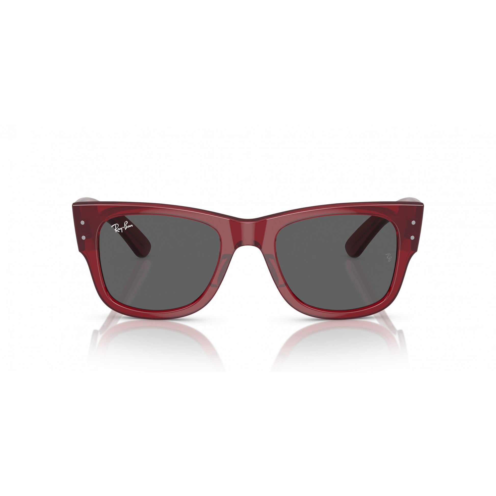 Ray-Ban 0RB0840S
