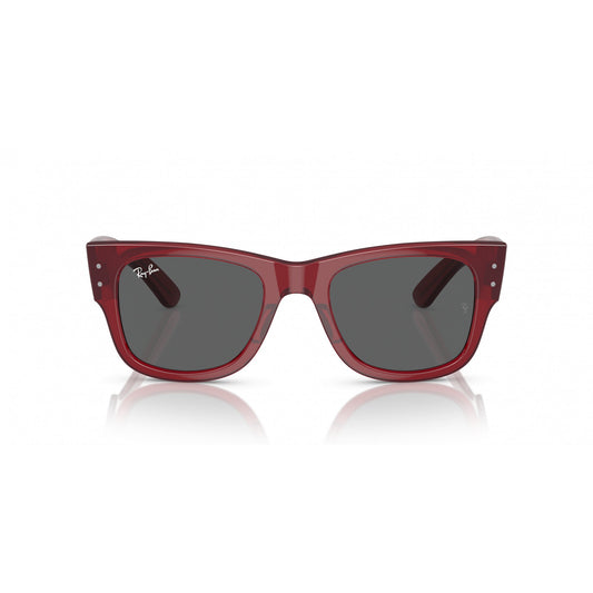 Ray-Ban 0RB0840S