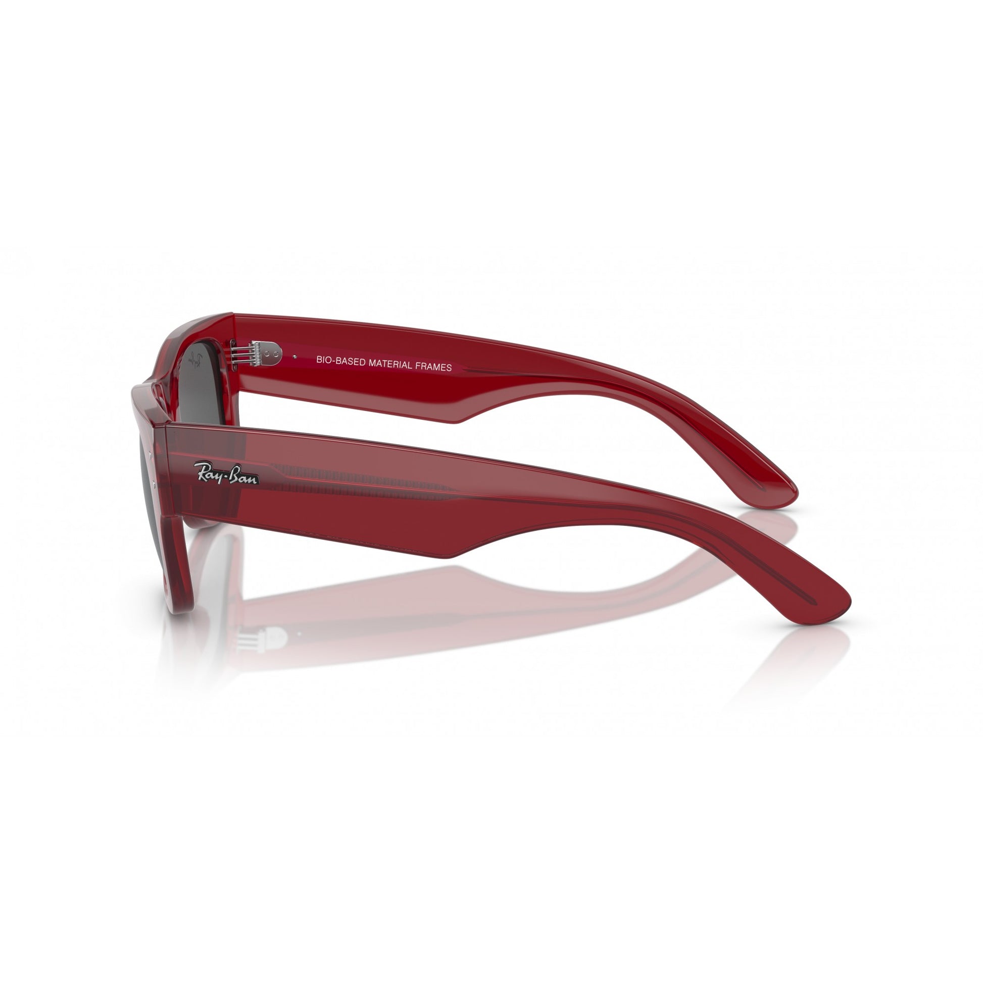 Ray-Ban 0RB0840S