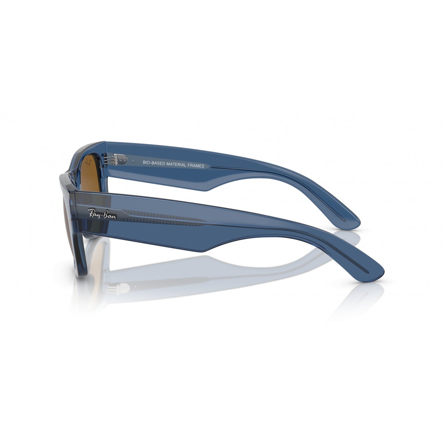 Ray-Ban 0RB0840S
