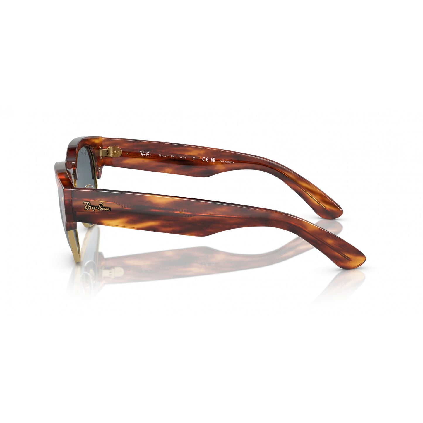 Ray-Ban 0RB0316S