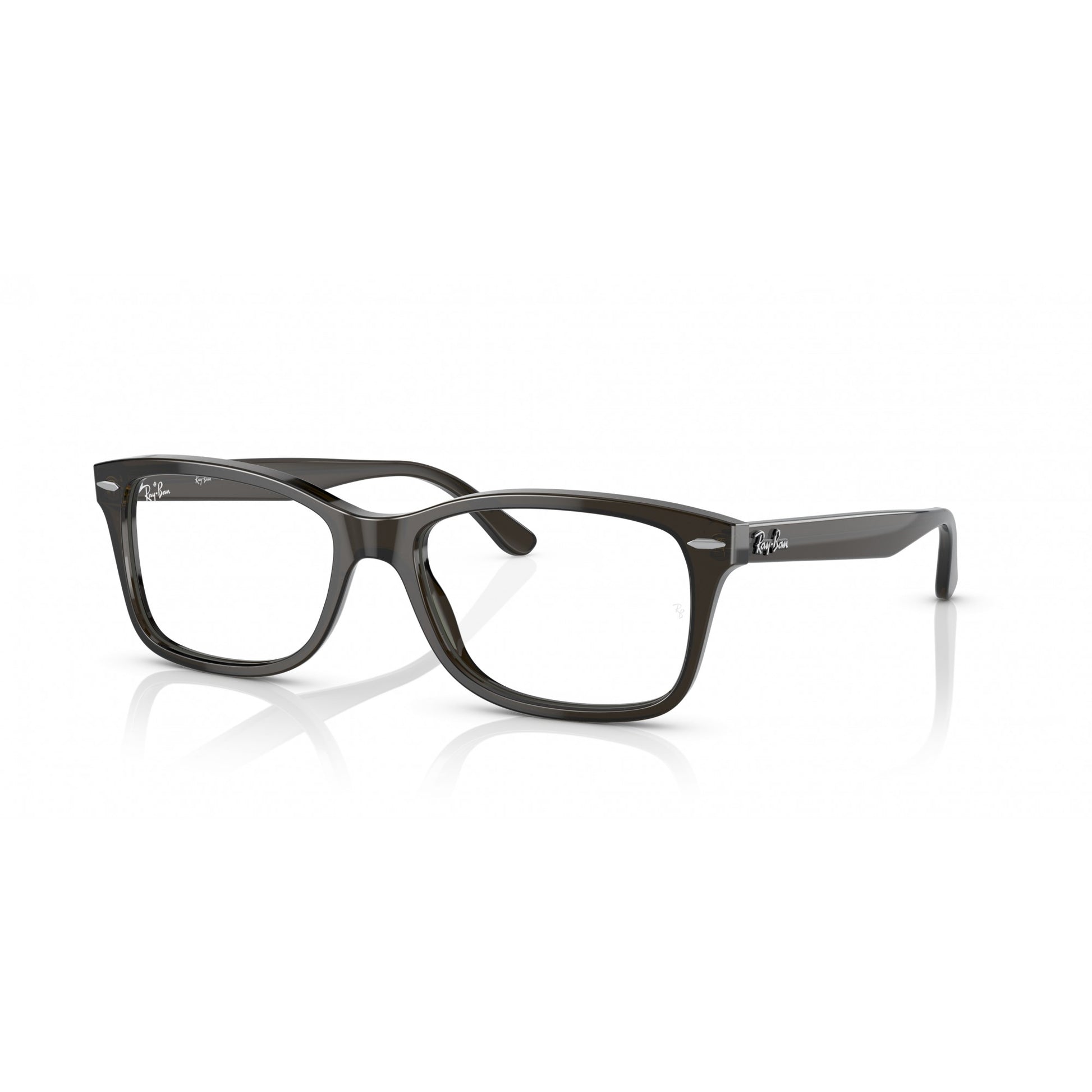 Ray-Ban 0RX5428
