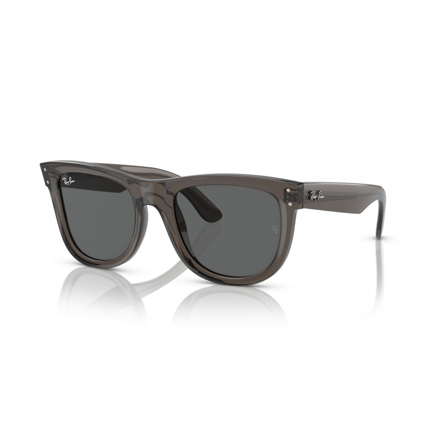 Ray-Ban 0RBR0502S