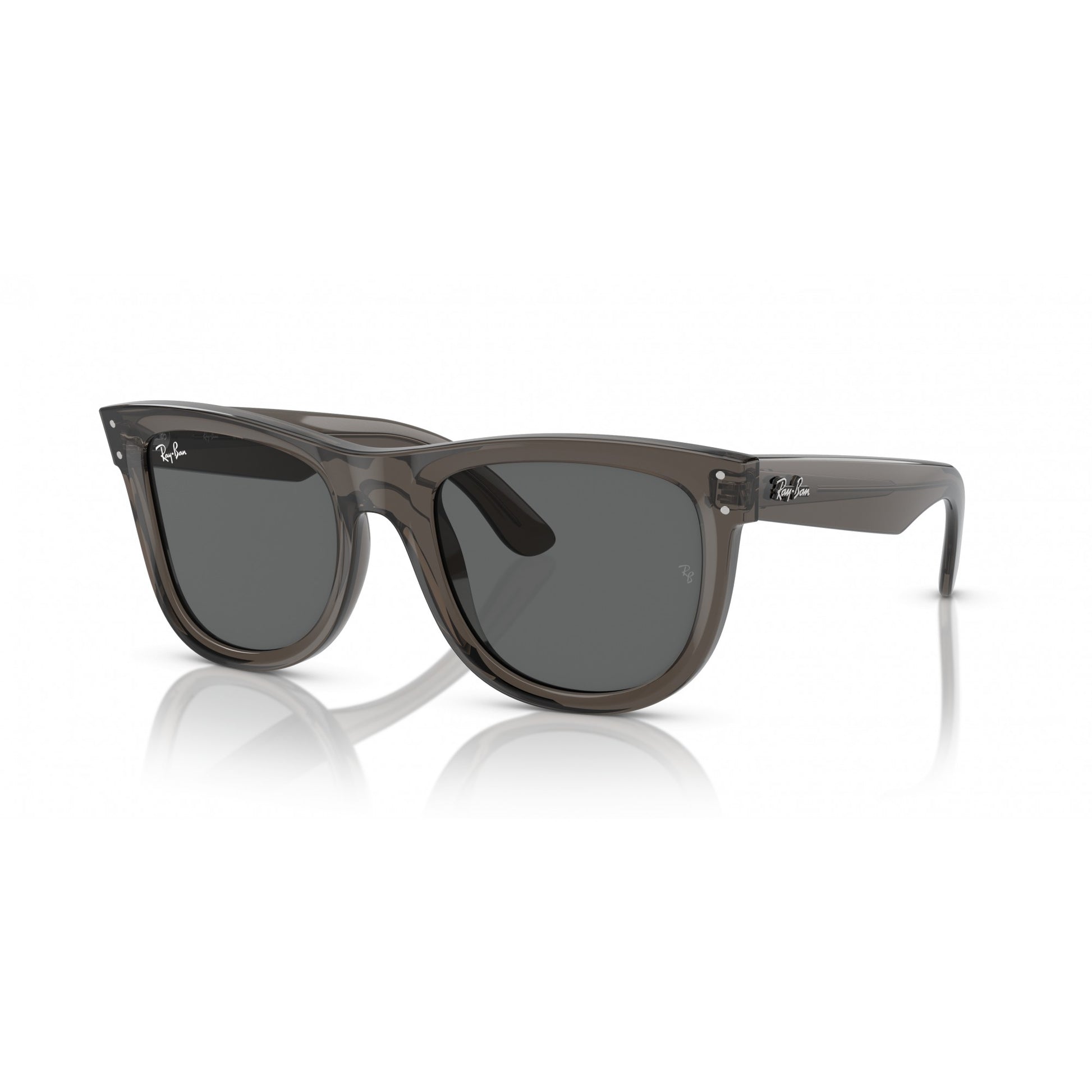 Ray-Ban 0RBR0502S