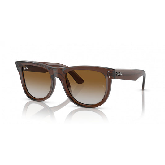 Ray-Ban 0RBR0502S