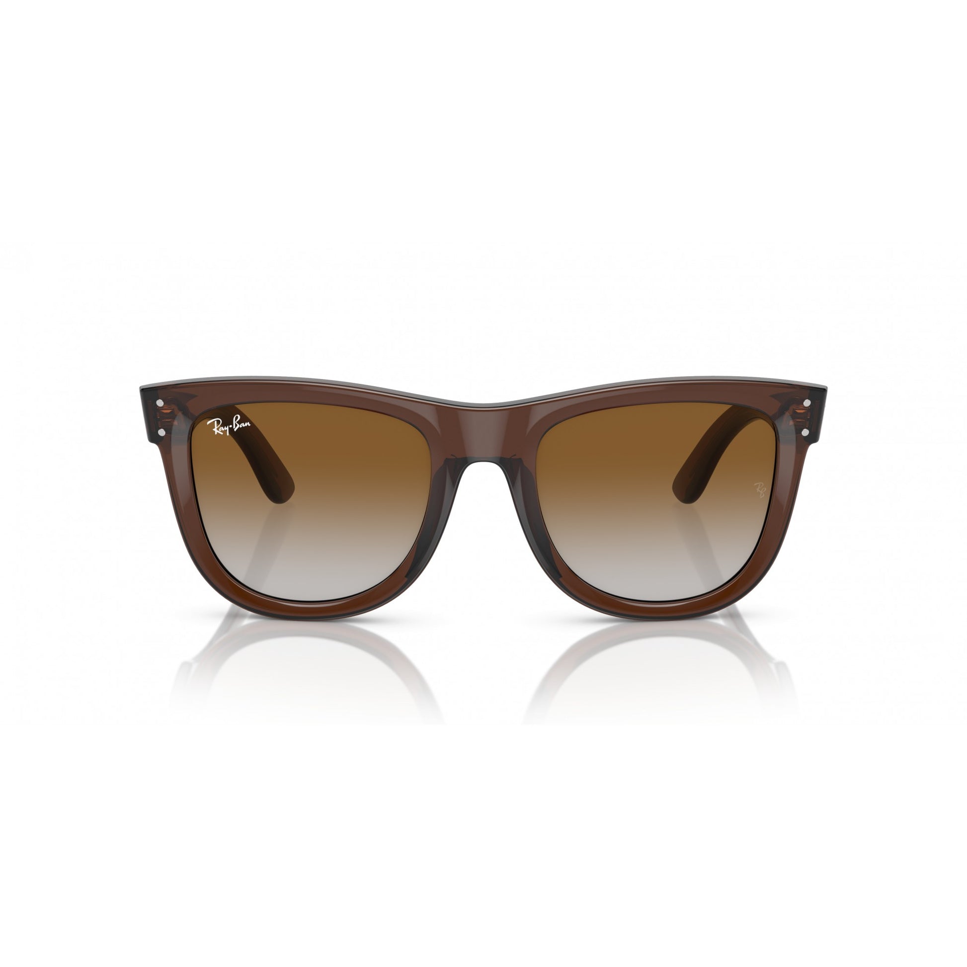 Ray-Ban 0RBR0502S