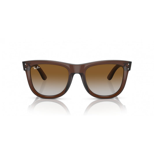 Ray-Ban 0RBR0502S