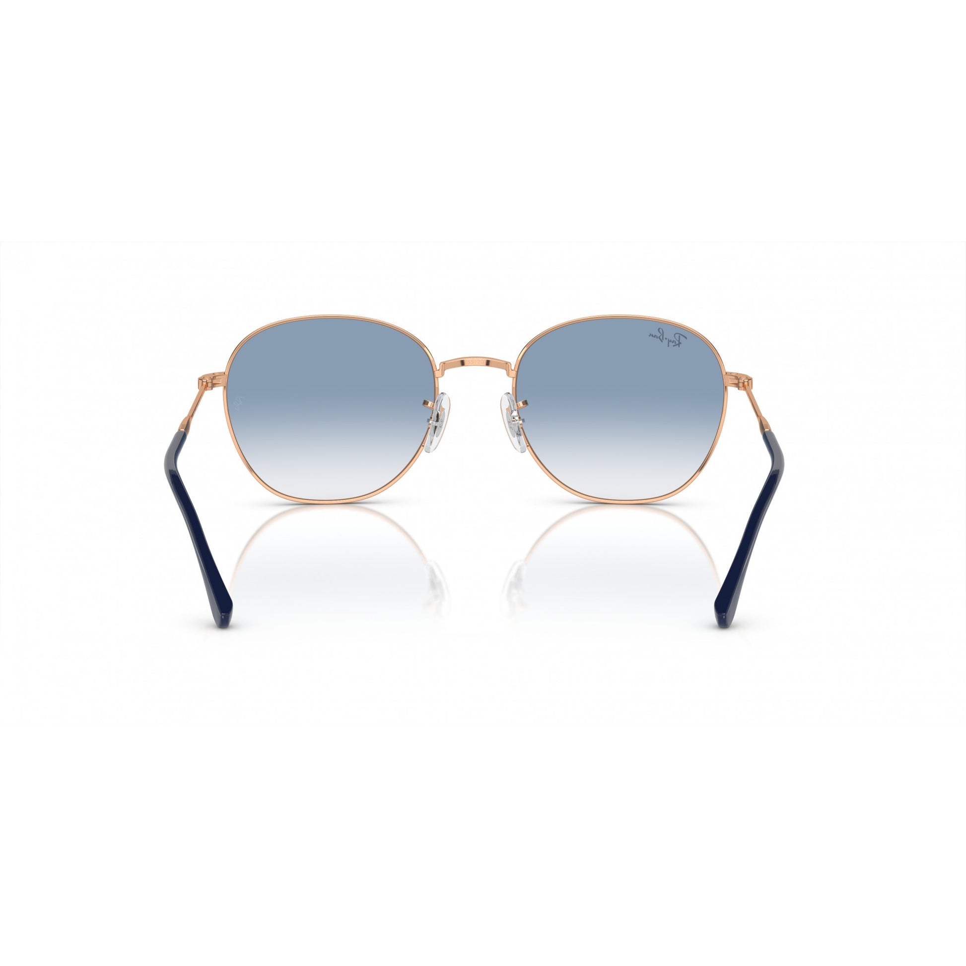 Ray-Ban 0RB3809