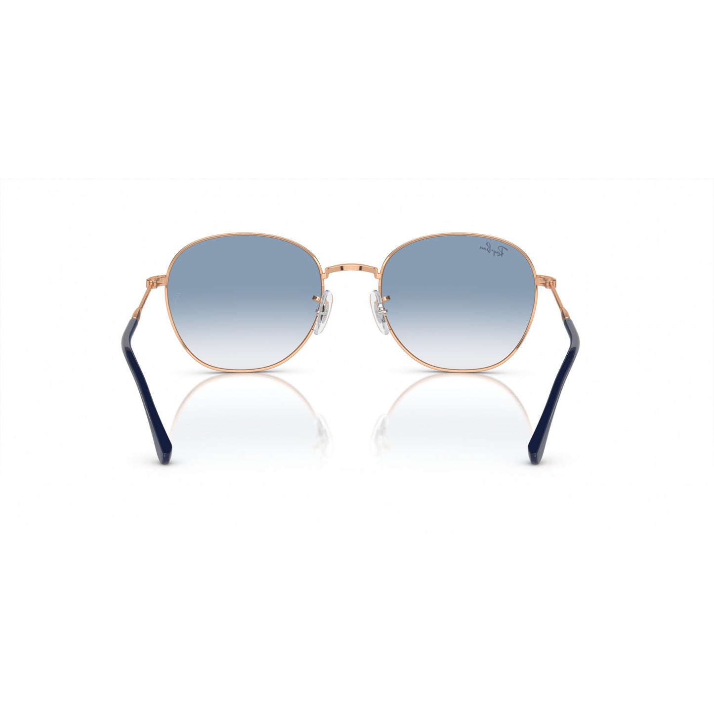 Ray-Ban 0RB3809