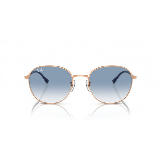 Ray-Ban 0RB3809
