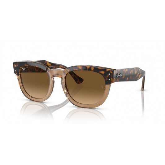 Ray-Ban 0RB0298S