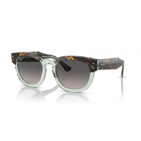 Ray-Ban 0RB0298S
