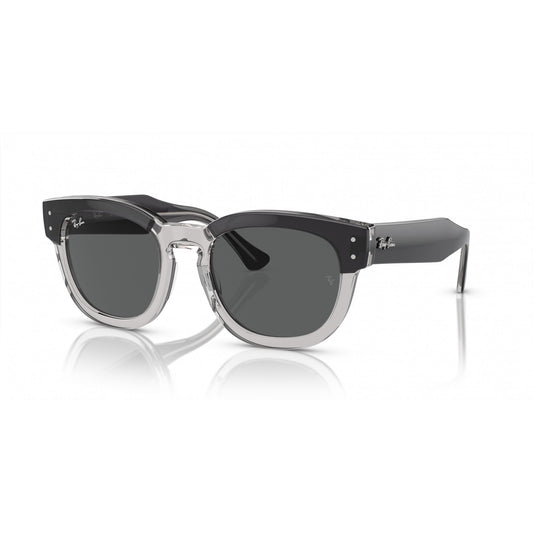 Ray-Ban 0RB0298S