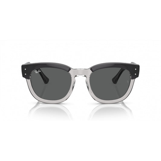 Ray-Ban 0RB0298S