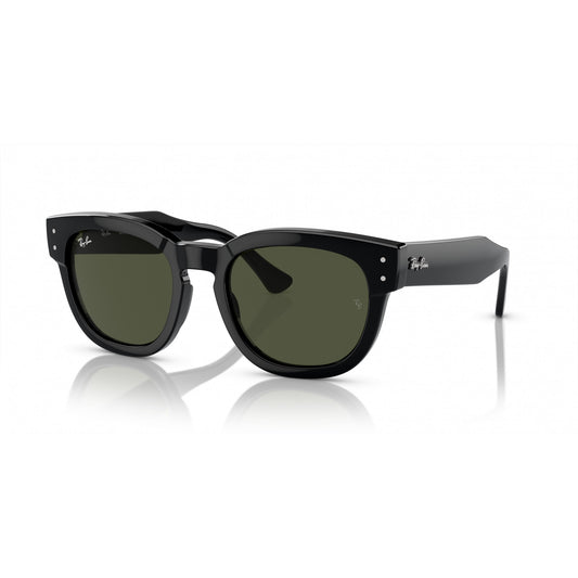 Ray-Ban 0RB0298S