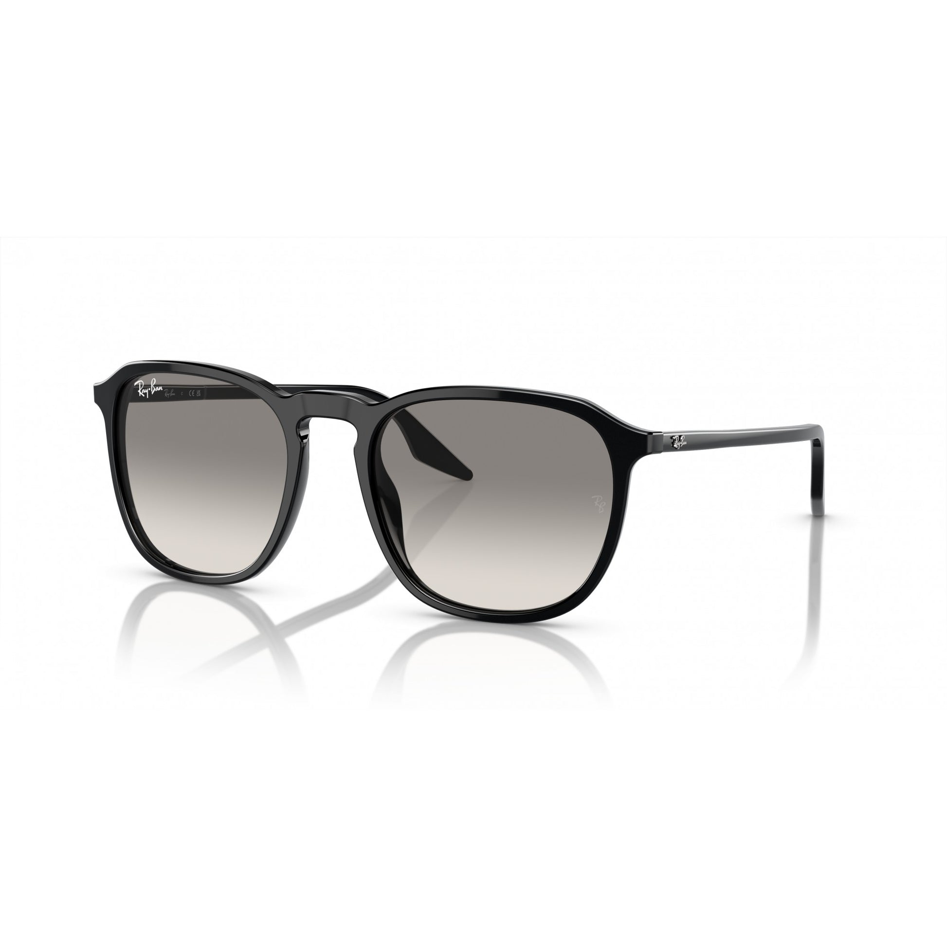 Ray-Ban 0RB2203