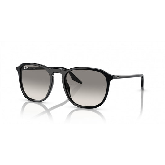 Ray-Ban 0RB2203