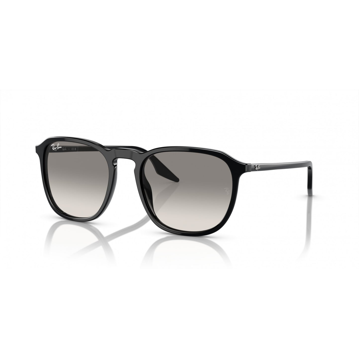 Ray-Ban 0RB2203